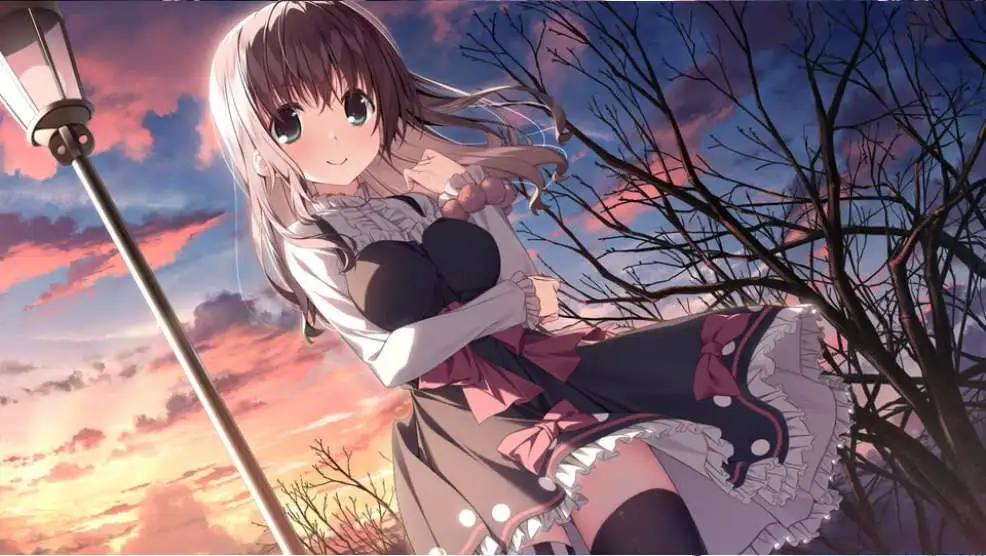 bf3c8159-d17d-485c-843c-3589b3b6f056.png