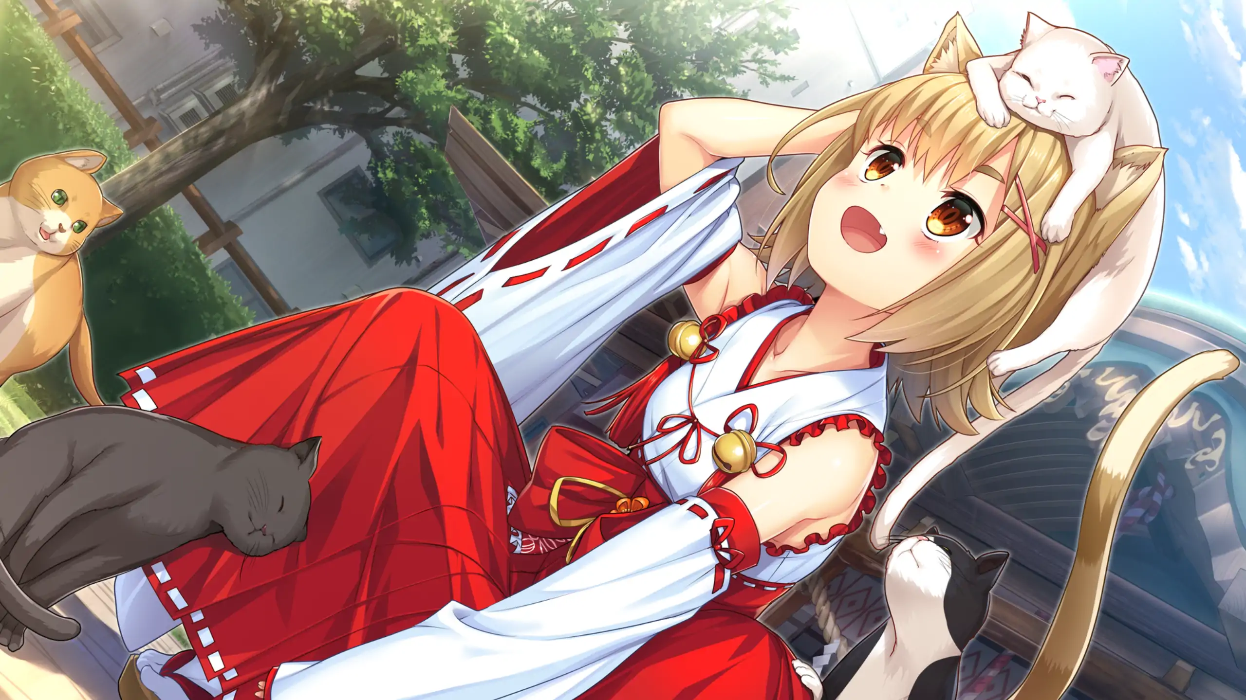 20260330-906e6468.webp