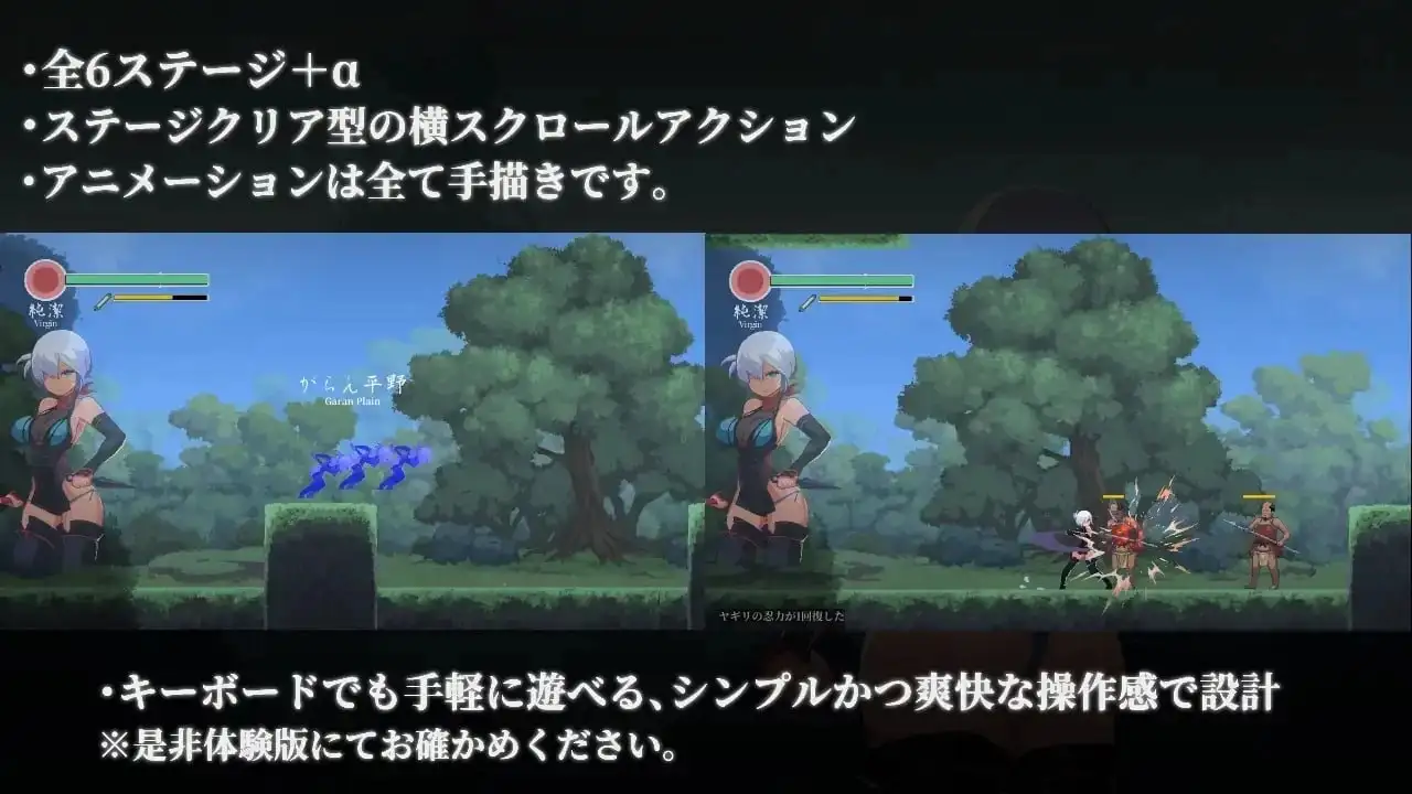 6a46155d2b9cc.webp