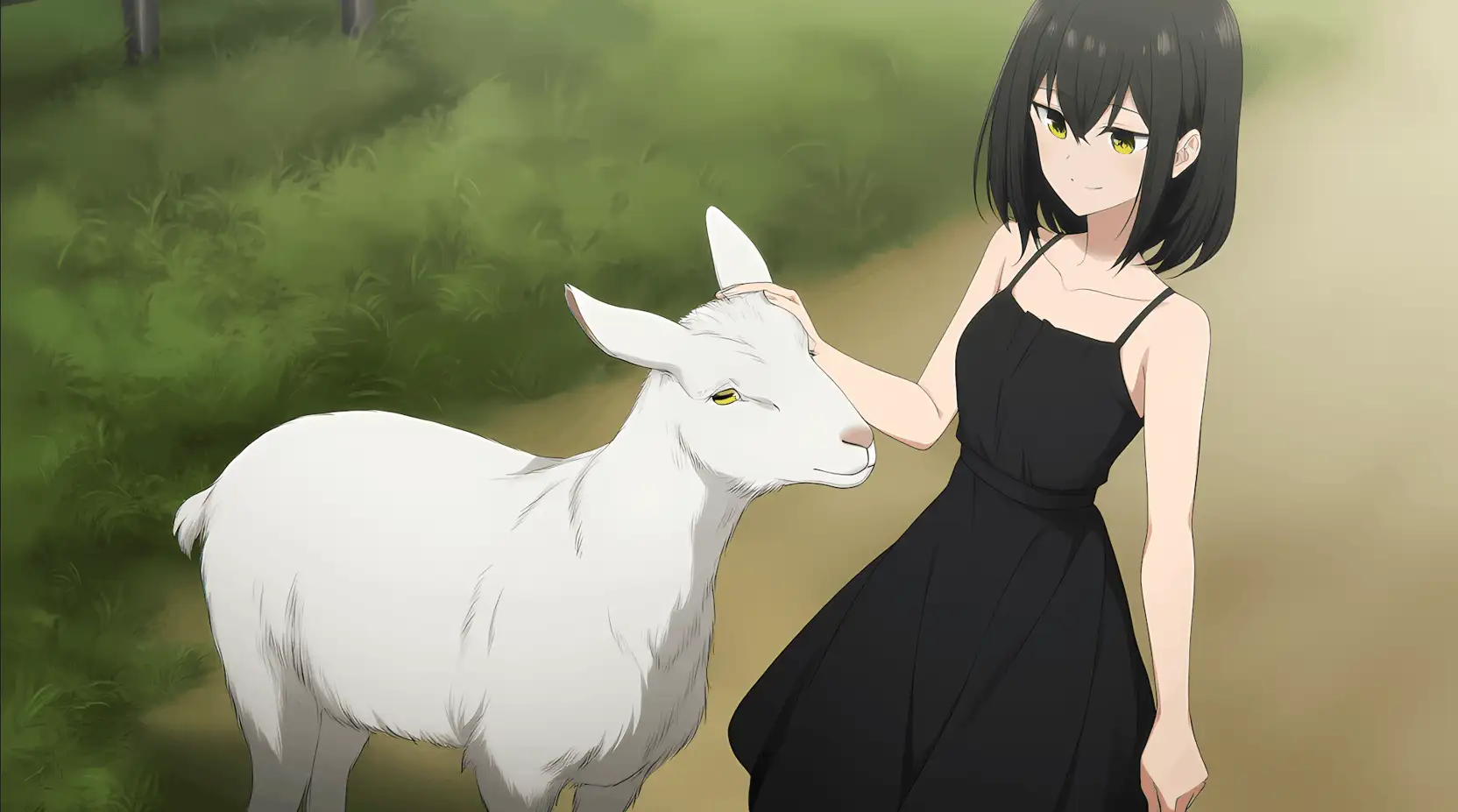 6a507e8260aef.webp