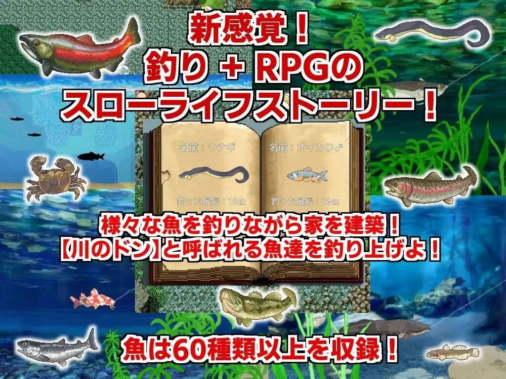 6a50e2035c361.webp
