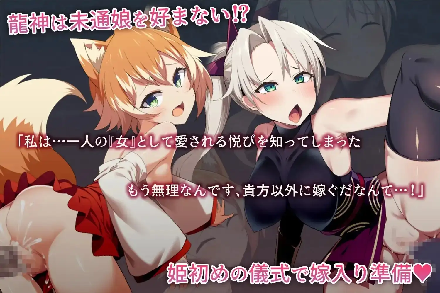 6a50e2c25822d.webp